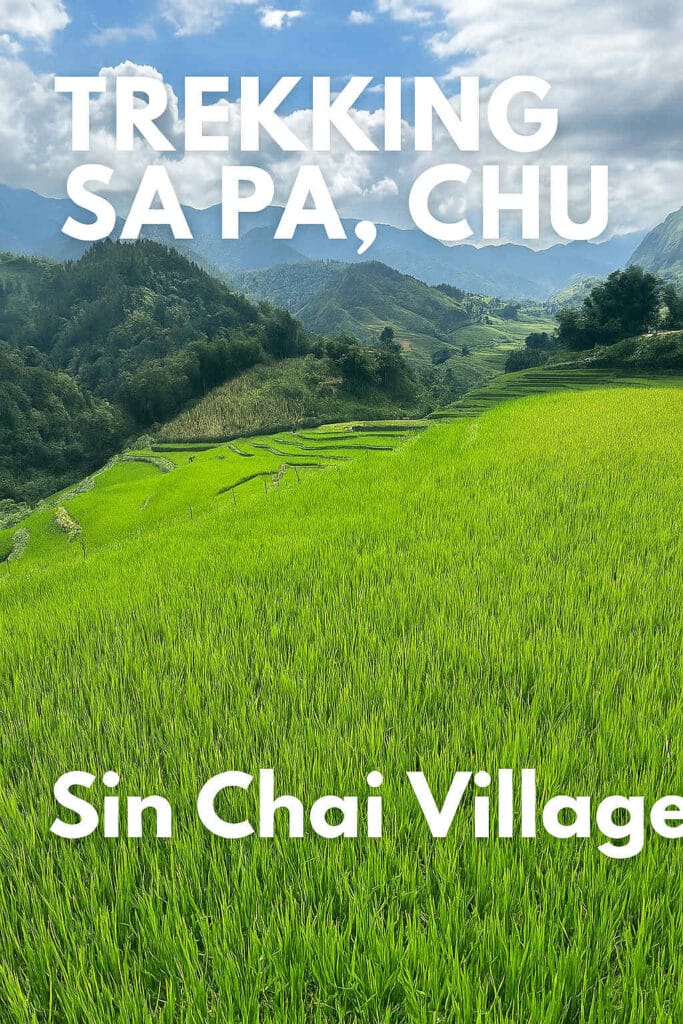 Trekking Sa Pa Chu in Sin Chai Village rice terraces