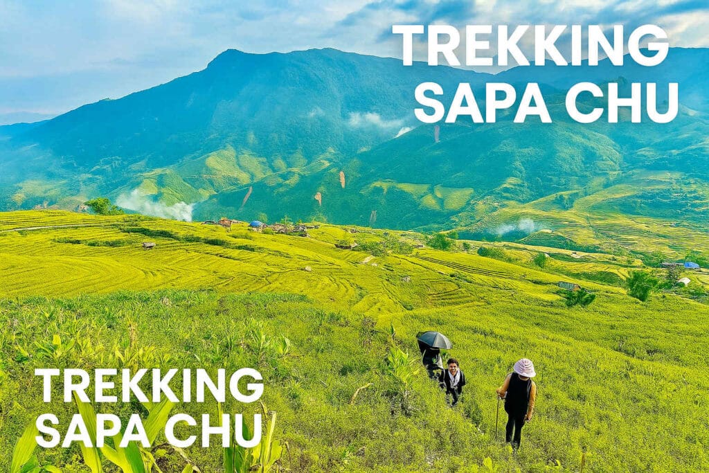 Trekking Sapa tour with local Hmong guides in rice terrace landscape