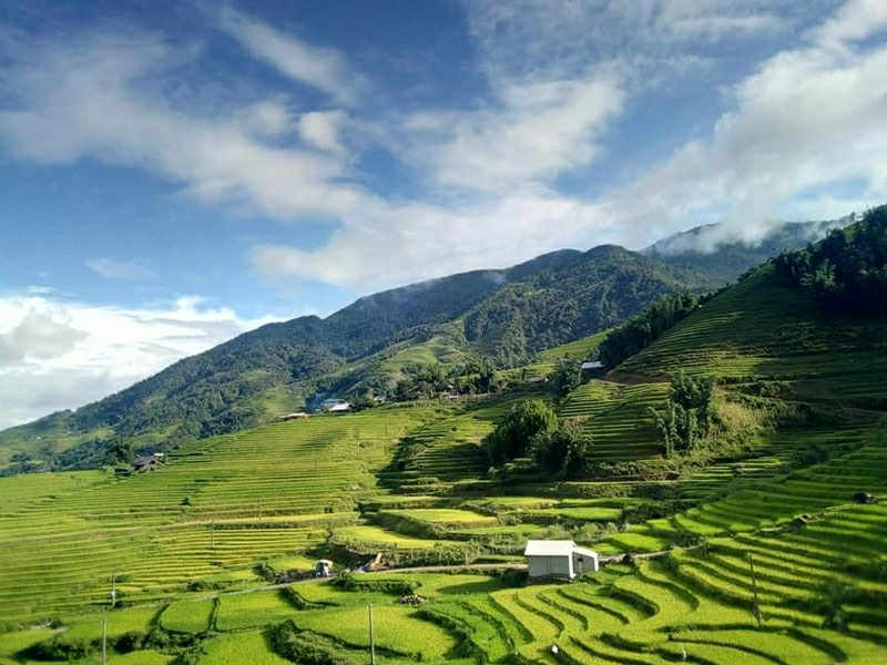 Trekking through the rice terraces from Suoi Ho to Ta Phin, Sapa
