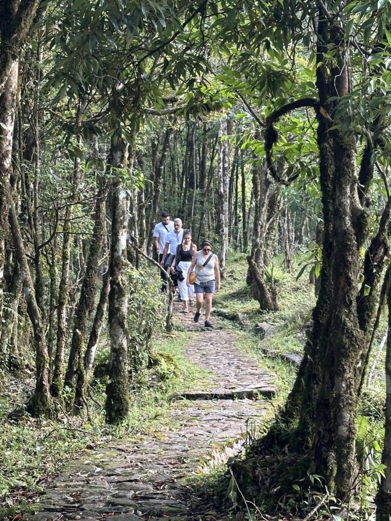 Trekking path through the forest to Love Waterfall, Sapa Caption: A peaceful trek through the green forest