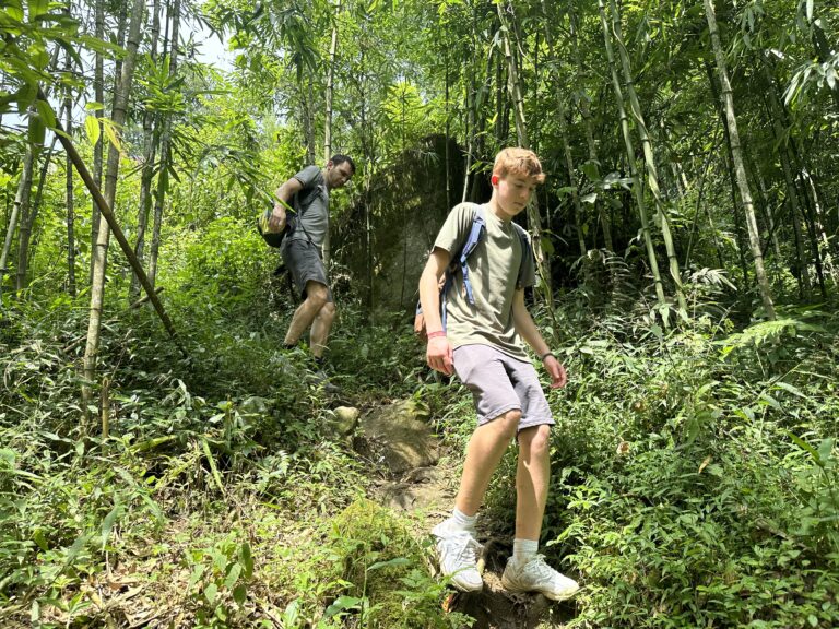 Trekking through bamboo forest in Sa Seng village, Sapa with local Hmong guide